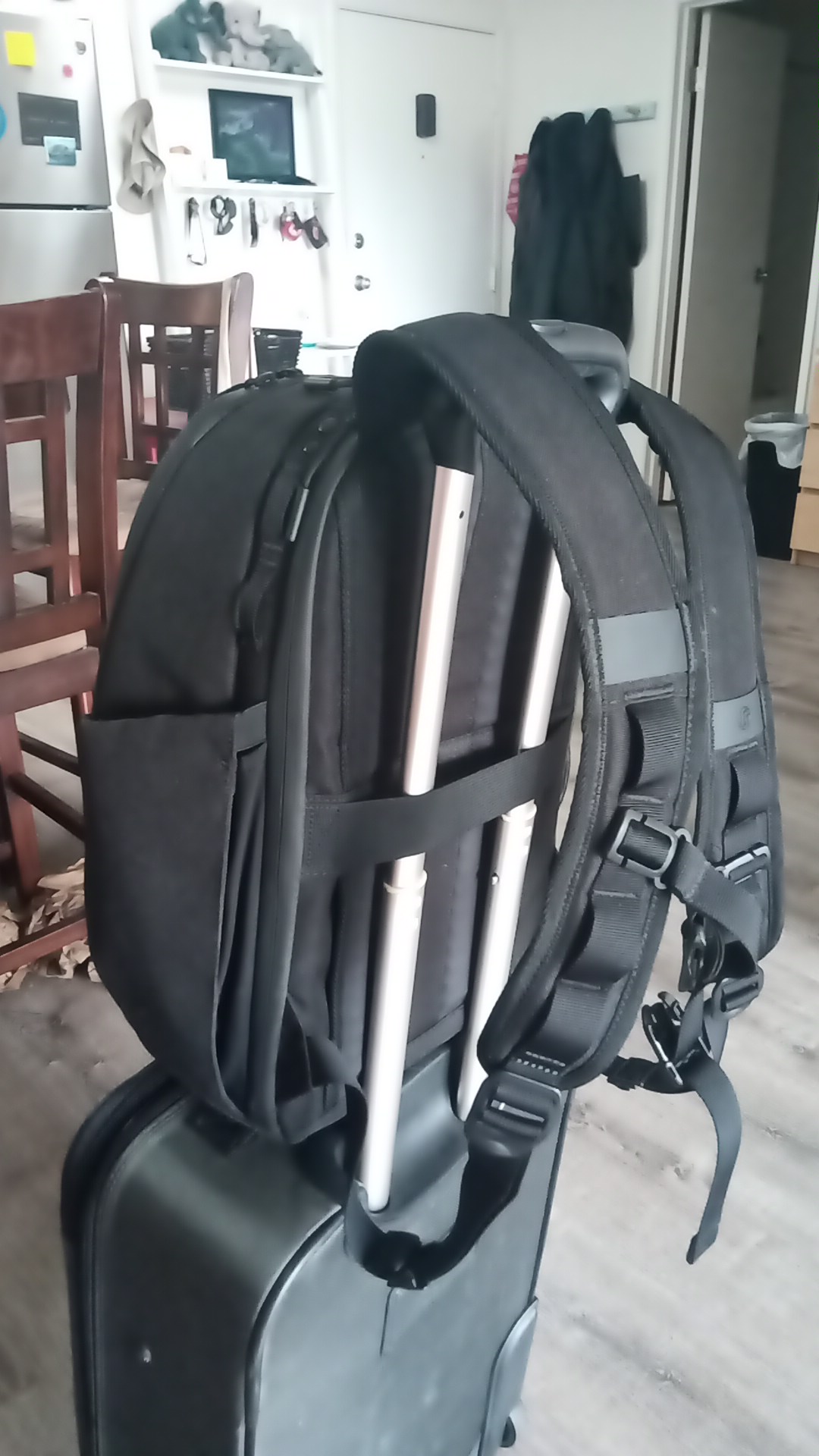 Backpack luggage strap detail